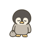 ペンギンくんのスタンプ5（個別スタンプ：33）