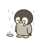 ペンギンくんのスタンプ5（個別スタンプ：34）