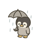 ペンギンくんのスタンプ5（個別スタンプ：36）