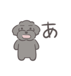 ふわシュナ 日常 黒（個別スタンプ：1）