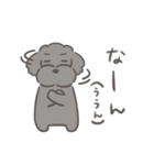 ふわシュナ 日常 黒（個別スタンプ：12）