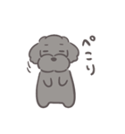 ふわシュナ 日常 黒（個別スタンプ：13）