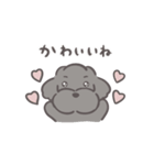 ふわシュナ 日常 黒（個別スタンプ：16）