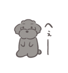 ふわシュナ 日常 黒（個別スタンプ：20）