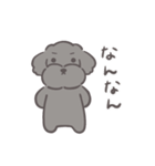 ふわシュナ 日常 黒（個別スタンプ：21）