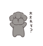 ふわシュナ 日常 黒（個別スタンプ：24）