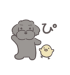 ふわシュナ 日常 黒（個別スタンプ：30）
