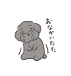 ふわシュナ 日常 黒（個別スタンプ：39）