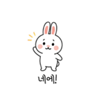 ウサギのコミュニケーションスタンプ (KR)（個別スタンプ：3）