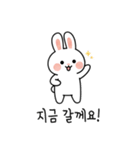 ウサギのコミュニケーションスタンプ (KR)（個別スタンプ：7）