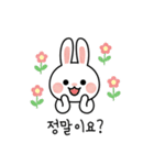 ウサギのコミュニケーションスタンプ (KR)（個別スタンプ：12）