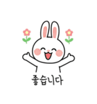 ウサギのコミュニケーションスタンプ (KR)（個別スタンプ：13）