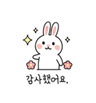 ウサギのコミュニケーションスタンプ (KR)（個別スタンプ：21）