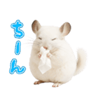 白いチンチラのmofuな日常（個別スタンプ：15）