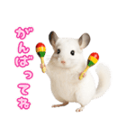 白いチンチラのmofuな日常（個別スタンプ：17）