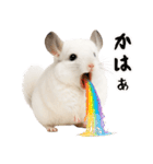 白いチンチラのmofuな日常（個別スタンプ：31）