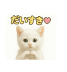 実写みたいな子猫 日本語（個別スタンプ：2）