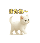 実写みたいな子猫 日本語（個別スタンプ：3）