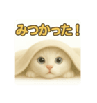 実写みたいな子猫 日本語（個別スタンプ：8）