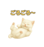 実写みたいな子猫 日本語（個別スタンプ：11）