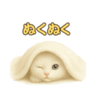 実写みたいな子猫 日本語（個別スタンプ：12）