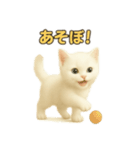 実写みたいな子猫 日本語（個別スタンプ：14）