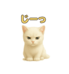 実写みたいな子猫 日本語（個別スタンプ：16）