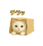 実写みたいな子猫 日本語（個別スタンプ：17）