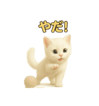 実写みたいな子猫 日本語（個別スタンプ：18）
