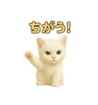 実写みたいな子猫 日本語（個別スタンプ：19）