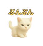 実写みたいな子猫 日本語（個別スタンプ：20）