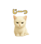 実写みたいな子猫 日本語（個別スタンプ：21）