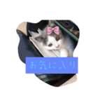 皆のアオくん（個別スタンプ：9）