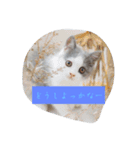 皆のアオくん（個別スタンプ：24）