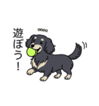 名前入りダックスロングブラッククリーム（個別スタンプ：1）