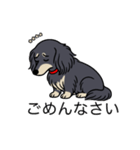 名前入りダックスロングブラッククリーム（個別スタンプ：2）