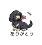 名前入りダックスロングブラッククリーム（個別スタンプ：5）