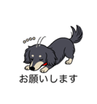 名前入りダックスロングブラッククリーム（個別スタンプ：7）