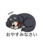 名前入りダックスロングブラッククリーム（個別スタンプ：9）