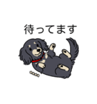 名前入りダックスロングブラッククリーム（個別スタンプ：10）