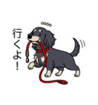 名前入りダックスロングブラッククリーム（個別スタンプ：11）