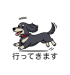 名前入りダックスロングブラッククリーム（個別スタンプ：13）