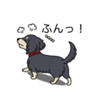 名前入りダックスロングブラッククリーム（個別スタンプ：14）