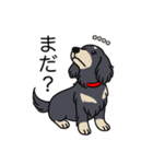 名前入りダックスロングブラッククリーム（個別スタンプ：20）