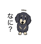 名前入りダックスロングブラッククリーム（個別スタンプ：22）