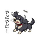 名前入りダックスロングブラッククリーム（個別スタンプ：23）