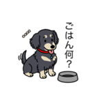 名前入りダックスロングブラッククリーム（個別スタンプ：24）