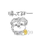 コロとケン（個別スタンプ：6）