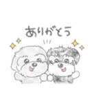 コロとケン（個別スタンプ：8）