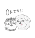 コロとケン（個別スタンプ：10）